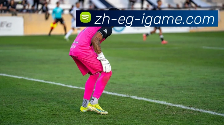 爱游戏服务体系